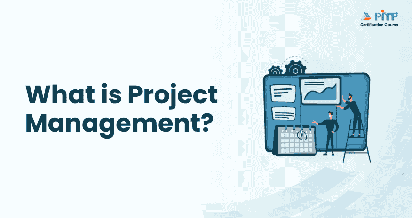 What is Project Management