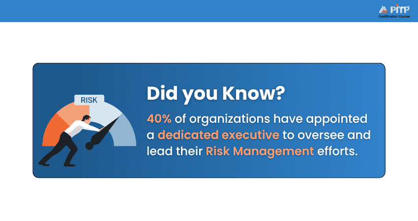 Risk Management in Organizations
