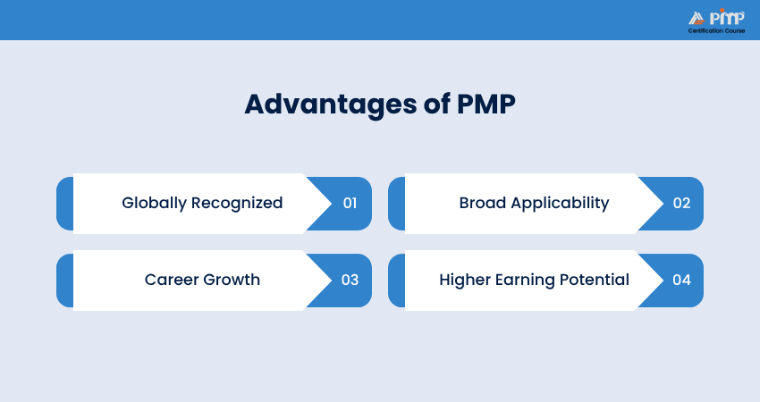 PMP Advantages