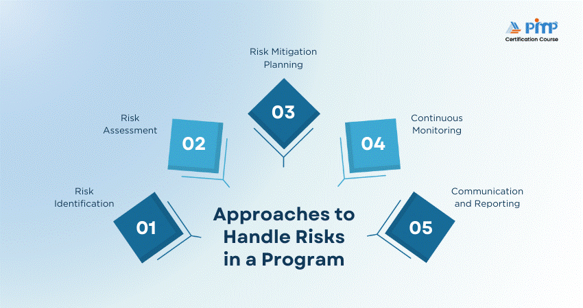 Approaches to Handle Riska in a Program