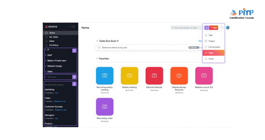 Team Management Features