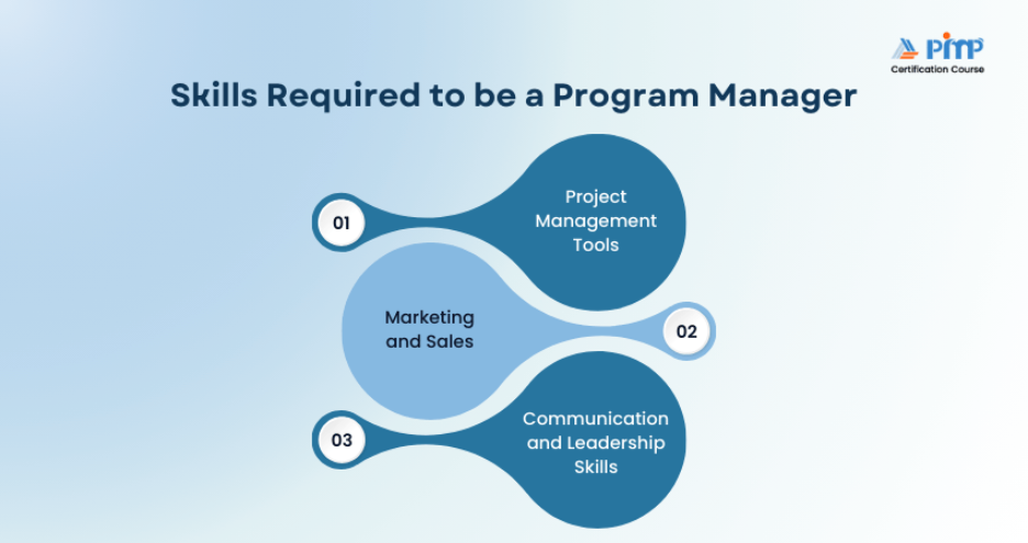 Skills Required to be a Program Manager