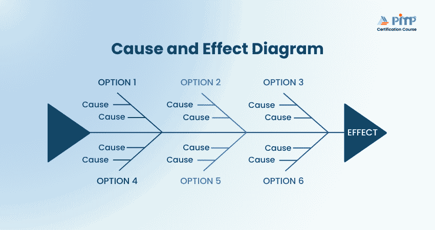 Cause and Effect Diagram in Project Quality Management Cause and Effect Diagram